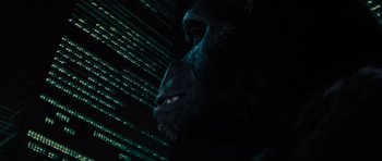 Movie still from “King Kong” (1976), directed by John Guillermin – The face of a gorilla in the dark; Extreme Close Up shot, Low angle