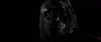Movie still from “King Kong” (1976), directed by John Guillermin – A gorilla's face in the dark; Extreme Close Up shot, Low angle
