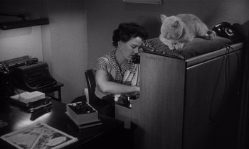 Movie still from “Kiss Me Deadly” (1955), directed by Robert Aldrich – A woman sitting at a desk next to a cat on the floor; Medium shot, High angle