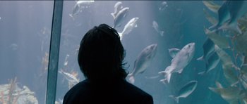 Movie still from “Knight of Cups” (2015), directed by Terrence Malick – A person is looking at the fish in the water; Medium shot, Over the shoulder angle