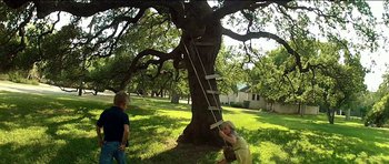 Movie still from “Knight of Cups” (2015), directed by Terrence Malick – A man and a child climbing a ladder to reach a tree; Wide shot, Low angle