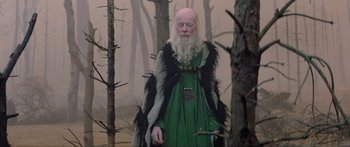 Movie still from “Krull” (1983), directed by Peter Yates – An old man with a beard and a long white beard standing next to trees; Medium shot, Low angle