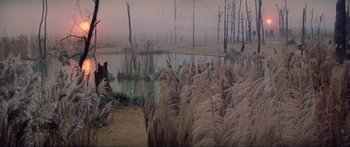 Movie still from “Krull” (1983), directed by Peter Yates – A field with a body of water surrounded by tall grass; Extreme Wide shot, High angle