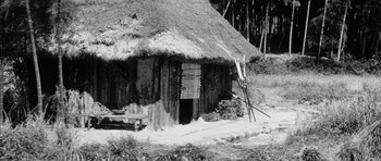 Movie still from “Black Cat” (1968), directed by Kaneto Shindô – An old wooden hut with a straw roof; Wide shot, Low angle