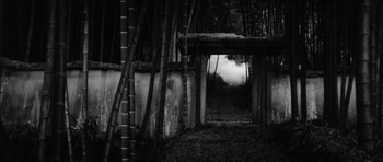 Movie still from “Black Cat” (1968), directed by Kaneto Shindô – A black - and - white photo of a path through a bamboo forest; Extreme Wide shot, High angle