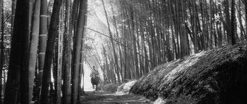 Movie still from “Black Cat” (1968), directed by Kaneto Shindô – A person riding a horse through a forest; Extreme Wide shot, Low angle