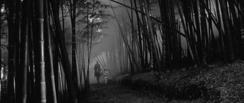Movie still from “Black Cat” (1968), directed by Kaneto Shindô – A man and a woman walking through a forest; Extreme Wide shot, Low angle