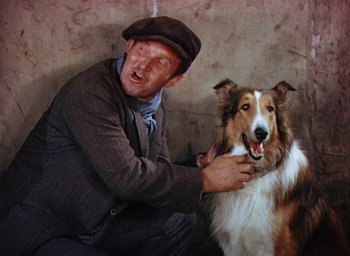 Movie still from “Lassie Come Home” (1943), directed by Fred M. Wilcox – A man and a dog are brushing each other's hair; Medium shot, High angle