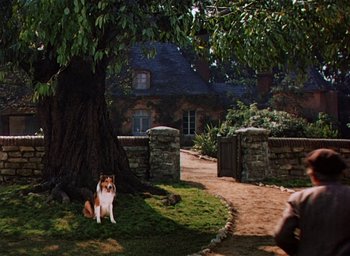 Movie still from “Lassie Come Home” (1943), directed by Fred M. Wilcox – A dog sitting under a tree in the middle of a yard; Wide shot, Over the shoulder angle