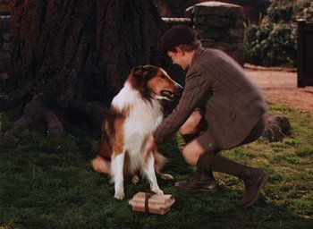 Movie still from “Lassie Come Home” (1943), directed by Fred M. Wilcox – A man kneeling down next to a brown and white dog; Wide shot, High angle