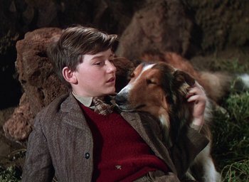 Movie still from “Lassie Come Home” (1943), directed by Fred M. Wilcox – A young boy sitting next to a brown dog; Close Up shot, High angle