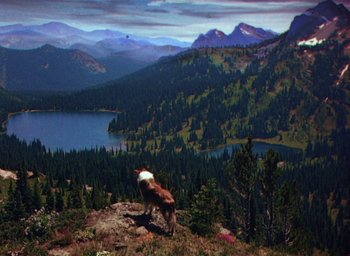 Movie still from “Lassie Come Home” (1943), directed by Fred M. Wilcox – An animal standing on top of a hill; Extreme Wide shot, High angle