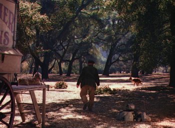 Movie still from “Lassie Come Home” (1943), directed by Fred M. Wilcox – A man walking through a forest with dogs; Wide shot, High angle