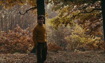 Movie still from “Happiness” (1965), directed by Agnès Varda – A man standing in front of a tree in the woods; Wide shot, High angle