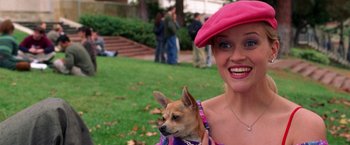 Movie still from “Legally Blonde” (2001), directed by Robert Luketic – A woman holding a small dog in a pink hat; Medium shot, High angle