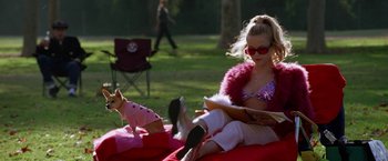 Movie still from “Legally Blonde” (2001), directed by Robert Luketic – A woman reading a book while sitting next to a small dog; Wide shot, High angle