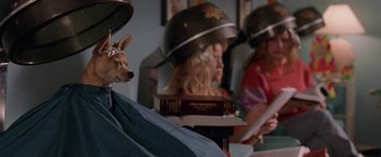 Movie still from “Legally Blonde” (2001), directed by Robert Luketic – A dog sitting in front of a woman in a hair dresser's chair; Medium shot, High angle