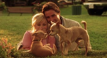 Movie still from “Legally Blonde 2: Red, White & Blonde” (2003), directed by Charles Herman-Wurmfeld – A man and a woman laying in the grass with two small dogs; Medium shot, Over the shoulder angle