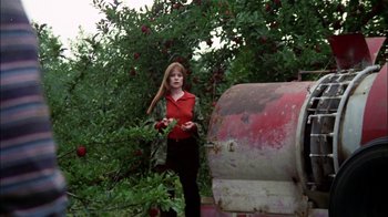 Movie still from “Let's Scare Jessica to Death” (1971), directed by John D. Hancock – A woman standing next to an apple tree in an apple orchard; Wide shot, Low angle
