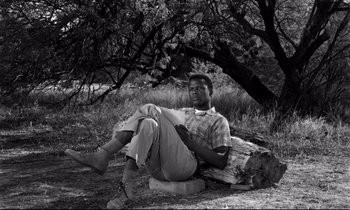 Movie still from “Lilies of the Field” (1963), directed by Ralph Nelson – A black and white photo of a man sitting on a log; Medium shot, Low angle