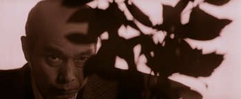 Movie still from “Lone Wolf and Cub: Baby Cart to Hades” (1972), directed by Kenji Misumi – A man is looking at the camera through a tree branch shadow; Extreme Close Up shot, Low angle