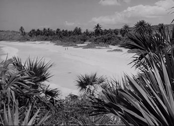 Movie still from “Lord of the Flies” (1963), directed by Peter Brook – A black - and - white photo of a beach with palm trees; Extreme Wide shot, High angle