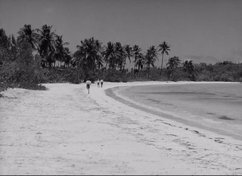 Movie still from “Lord of the Flies” (1963), directed by Peter Brook – A black and white photo of people walking on the beach; Extreme Wide shot, High angle