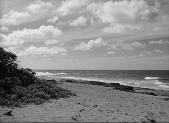 Movie still from “Lord of the Flies” (1963), directed by Peter Brook – A black - and - white photo of the ocean and a beach; Extreme Wide shot, Low angle