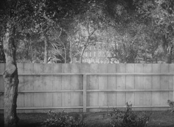 Movie still from “Love Affair” (1939), directed by Leo McCarey – A black - and - white photo of a wooden fence with trees in the background; Extreme Wide shot, High angle