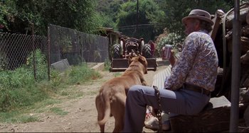 Movie still from “Love Streams” (1984), directed by John Cassavetes – A man sitting on a chair with a dog in front of him; Wide shot, Over the shoulder angle