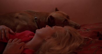 Movie still from “Love Streams” (1984), directed by John Cassavetes – A woman laying on a bed with a dog; Close Up shot, High angle