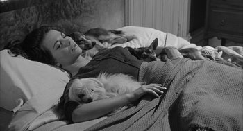 Movie still from “Love with the Proper Stranger” (1963), directed by Robert Mulligan – A woman laying in bed next to two dogs; Medium shot, High angle