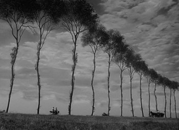 Movie still from “Madame Curie” (1943), directed by Mervyn LeRoy – A black and white photo of trees blowing in the wind; Extreme Wide shot, Low angle