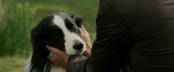 Movie still from “Made of Honor” (2008), directed by Paul Weiland – A person petting a dog's face while holding it's head; Close Up shot, Over the shoulder angle
