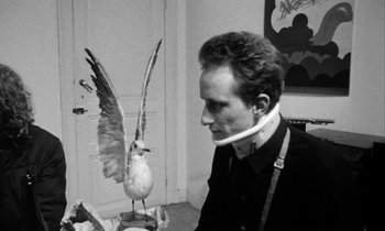 Movie still from “Man Bites Dog” (1992), directed by Benoît Poelvoorde – A man wearing a neck brace next to a bird statue; Close Up shot, Low angle