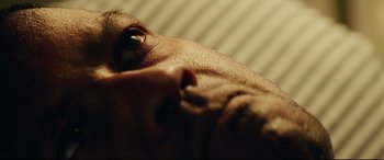 Movie still from “Man on Fire” (2004), directed by Tony Scott – A dog's eyes and nose; Extreme Close Up shot, Overhead angle