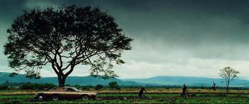 Movie still from “Man on Fire” (2004), directed by Tony Scott – A person is standing in a field near a tree; Extreme Wide shot, Low angle