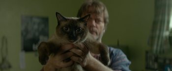 Movie still from “Me and Earl and the Dying Girl” (2015), directed by Alfonso Gomez-Rejon – A man holding a siamese cat in his hands; Close Up shot, Over the shoulder angle