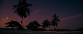 Movie still from “Mechanic: Resurrection” (2016), directed by Dennis Gansel – A house sitting on the beach at night time with palm trees; Extreme Wide shot, Low angle