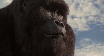 Movie still from “Mighty Joe Young” (1998), directed by Ron Underwood – A gorilla's face with clouds in the background; Close Up shot, Low angle