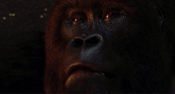 Movie still from “Mighty Joe Young” (1998), directed by Ron Underwood – The face of a gorilla in the dark; Extreme Close Up shot, Low angle
