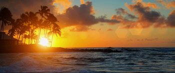 Movie still from “Mike and Dave Need Wedding Dates” (2016), directed by Jake Szymanski – The sun is setting over the ocean with a palm tree in the foreground; Extreme Wide shot, Low angle