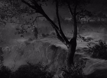 Movie still from “Ministry of Fear” (1944), directed by Fritz Lang – A black and white photo of trees and a river; Extreme Wide shot, High angle