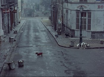 Movie still from “My Uncle” (1958), directed by Jacques Tati – A dog is walking down the street with two other dogs nearby; Extreme Wide shot, High angle