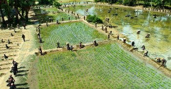 Movie still from “First They Killed My Father” (2017), directed by Angelina Jolie – A number of people working in a field near a body of water; Extreme Wide shot, High angle