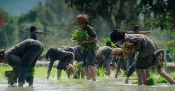 Movie still from “First They Killed My Father” (2017), directed by Angelina Jolie – A group of people standing in the grass; Wide shot, High angle