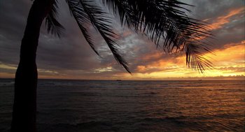 Movie still from “Morning Light” (2008), directed by Mark Monroe – The sun is setting over the ocean with a palm tree in the foreground; Extreme Wide shot, High angle