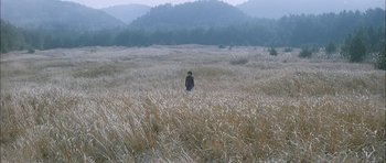 Movie still from “Mother” (2009), directed by Bong Joon Ho – A person walking through a field of tall grass; Extreme Wide shot, High angle