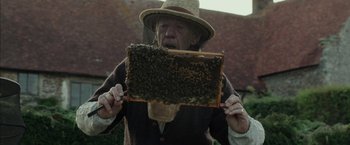 Movie still from “Mr. Holmes” (2015), directed by Bill Condon – An old man holding a frame with bees on top of it; Close Up shot, Low angle