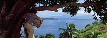 Movie still from “Mutiny on the Bounty” (1962), directed by George Seaton – A person is holding a piece of wood in a tree; Wide shot, High angle